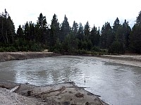 Yellowstone Mud Volcano Area (13).JPG